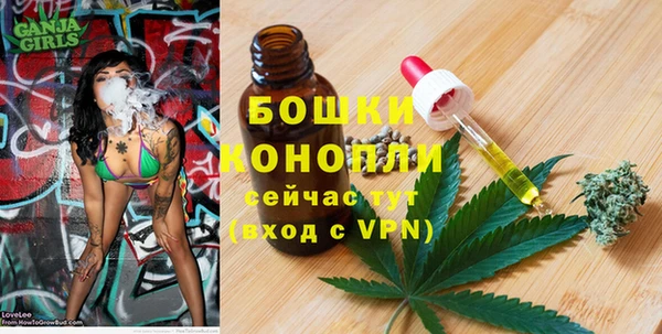 гидра Магас