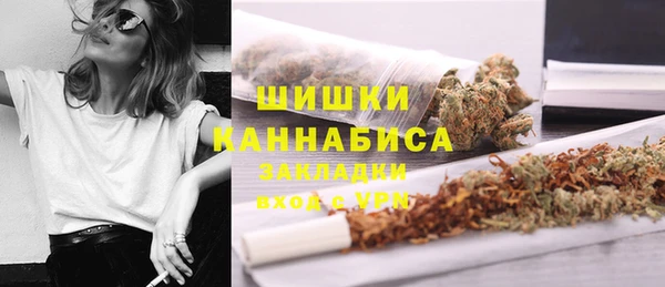 гидра Магас