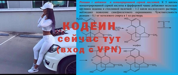 гидра Магас