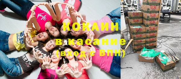 гидра Магас