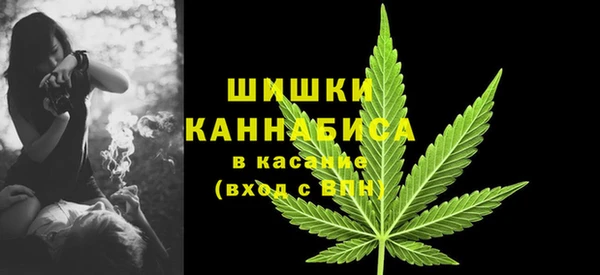 Альфа ПВП Майский