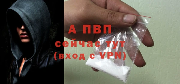 гидра Магас