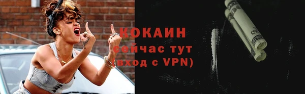 гидра Магас