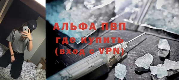 гидра Магас